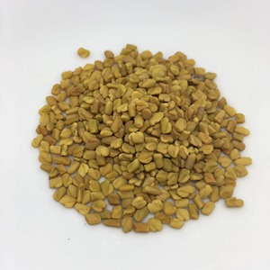 เมล็ด Fenugreek เมล็ดฟีนูกรีกดิบจากธรรมชาติสำหรับอาหารและผลิตภัณฑ์สุขภาพทางโภชนาการ - Product Image 2