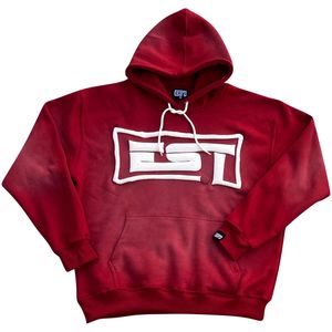 Venta directa de fábrica 500gsm Algodón para Puff Print Pullover Sudadera con capucha Técnicas bordadas Buena calidad para Puff Print Hoodie - Product Image 4