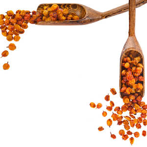 Espino amarillo seco | Fruta de alta potencia para marcas de superalimentos - Product Image 1