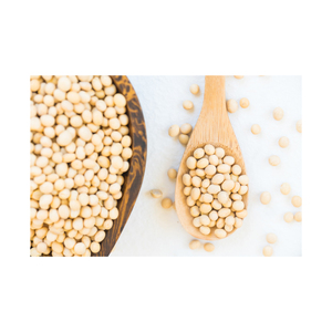 Le plus grand stock et approvisionnement au monde pour le meilleur marché/Graines de soja Graines de soja NON-GMO graines de soja - Product Image 1