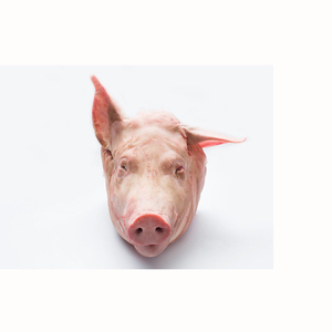 Cabeza de cerdo Proveedor profesional Cerdo congelado Cabeza de cerdo de alta calidad sin orejas lengua y papada Proveedor profesional a la venta - Product Image 2