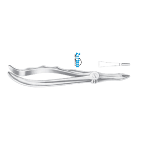 คีมดึงรากด้านบนทำจากสเตนเลสสตีลผู้ส่งออกและผู้ผลิต41ราย - Product Image 5