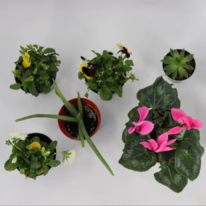 ABA Round Indoor/Outdoor <b>Plastic</b> Flower Pot <b>Planter</b> UV Frost Resistance with Multiple Sizes and Colors for Home and <b>Garden</b> - Product Image 1