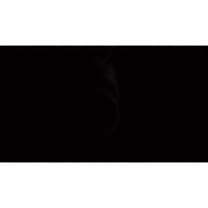 Caméra de sécurité sans fil WIFI Full HD 1080P, vision nocturne, audio bidirectionnel, imagerie couleur intégrale, stockage de données sur le cloud, IP, intérieur/extérieur - Product Image 1