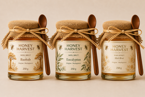 Miel de Niaouli Honey Harvest 250 g, origine Madagascar, miel naturel, emballage en pot Mason - Product Image 2