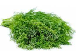 Huile de feuille d'aneth de qualité supérieure pure et naturelle 100% huile biologique en vrac huile en gros fabricant de confiance exportation indienne de haute qualité - Product Image 4