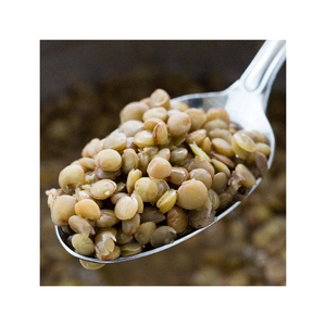 Best Selling Organic Red <b>Lentils</b> Factory Supplied Dried Agriculture Product Wholesale Bulk Exporter From Brazil - Product Image 5