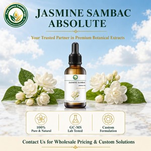 Absoluto de Jazmín Sambac 100% Puro (Jasminum Sambac) Extraído con Solvente, Aroma Floral Dulce Fresco, Probado por GC-MS, Venta al Por Mayor - Product Image 5