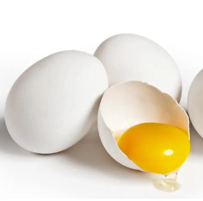 Telur Dadar Meja Ayam Segar, Telur Ayam Pedaging Putih dan Coklat