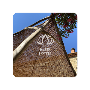 MEILLEUR PRIX Bleu Lotus 2025 Coir Voile D'ombrage Biodégradable Écologique Auvent Élégant Abri Extérieur Pour Arrière-Cour Jardin Pont - Product Image 1