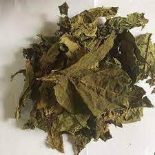 มะละกอแห้ง Leaves_High สินค้าที่มีคุณภาพจากเวียดนาม - Product Image 6