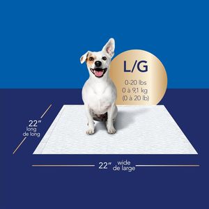 Almohadillas para Perros Scott Pet Guard Advanced - Almohadillas de Entrenamiento para Cachorros, Perros Medianos y Grandes - Absorbencia de hasta 16 Horas 22 x 22 - Paquete de 100 - Product Image 2