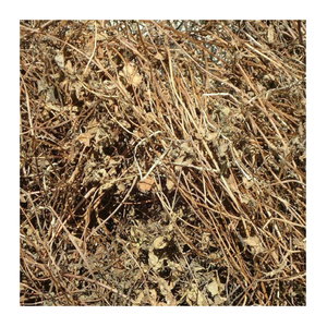 Gelée d'herbe noire du Vietnam-Gelée d'herbe noire haut de gamme en gros en vrac avec saveur fraîche pour boissons et desserts - Product Image 3