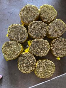 2025 CULTURE CASSIA CIGARETTE VIETNAM ÉPICÉ CANNELLE PRIX-BON PRIX CONTACT + 84 869981238 - Product Image 4