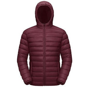 Veste d'hiver isolée légère et compressible pour hommes, manteau en duvet alternatif résistant à l'eau de haute qualité - Product Image 1