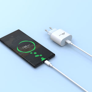 ADAPTATEUR DE TÉLÉPHONE MOBILE 20W PD 3A Adaptateur AVEC CÂBLE TYPE-C à TYPE-C TC-123-C Blanc - Product Image 6