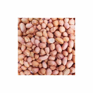 Fresh Dried Peanut <b>Nuts</b> Bulk Wholesale for Food Industry Snacks Raw Processed in Large Quantities Organic - Product Image 2