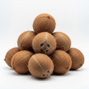 Noix de coco fraîches de qualité exportatrice noix de coco tropicale naturelle semi-décortiquée, parfaites pour les supermarchés, les détaillants et l'industrie alimentaire - Product Image 5