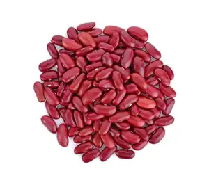 도매 구매자를 위한 프리미엄 붉은 신장 콩 공급 업체-경쟁력 있는 가격으로 최고 품질의 영양소가 풍부한 맥박