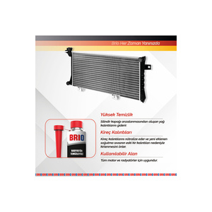 Radiator <b>Cleaner</b> 300 Ml-Synthetic Diesel Engine Oil <b>Spray</b> for Automotive Cleaning - Product Image 1