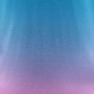 Uniforme de fútbol de color personalizado de alta calidad para adultos para deportes y partidos - Product Image 6