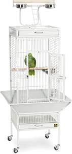 Çağdaş tarzı antimacaamerika papağanı gri papağan Aviary Pet House el yapımı küçük hayvanlar Metal demir kuş kafesi ahşap kutu satış - Product Image 5