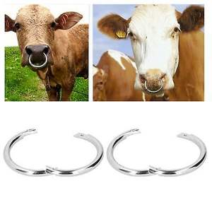 Renix International Veterinary Surgical Instrument-Esparcidor de zapatos de acero inoxidable reutilizable para perros para uso clínico - Product Image 5