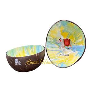 Cuencos de cáscara de coco hechos a mano ecológicos de alta calidad estilo de diseño moderno con cuchara fuente de luz Vietnam al por mayor para fiestas - Product Image 3