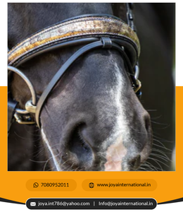 Brides de dressage la bride en cristal de roche Bride de cheval de haute qualité Fournisseur et exportateur intelligent - Product Image 5