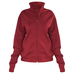 Sweat-shirt pour femme au look moderne et élégant, conçu pour un confort naturel, avec une apparence raffinée et une présence stylée. - Product Image 1