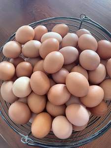 ไข่ไก่สดในฟาร์มไข่โต๊ะสีขาวและเปลือกสีน้ำตาลคุณภาพดีกว่าธรรมชาติและมีคุณค่าทางโภชนาการพร้อมส่งเป็นจำนวนมาก - Product Image 2