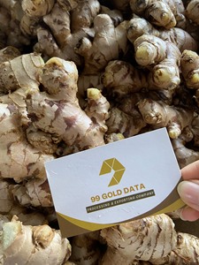 Bán Sỉ Gừng Tươi Ngon-Tiêu Chuẩn Xuất Khẩu Châu Âu - Product Image 3