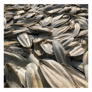 กระดูกปลาหมึกตากแห้งธรรมชาติ คุณภาพสูง ไม่แตกหัก สำหรับนกและอาหารสัตว์เลี้ยง สำหรับส่งออก - Product Image 4