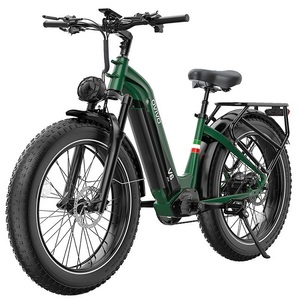 โอวีวีโอ วี6 โปร แฟต เมาน์เทน อีไบค์ 26 250-วัตต์ 48-โวลต์ 20-แอมป์ชั่วโมง - Product Image 1