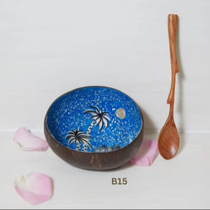 Cuenco de coco de concha marina de alta calidad, cuenco de madre de perla con incrustaciones de cáscara de coco ecológico de verano, hecho a mano Natural - Product Image 1