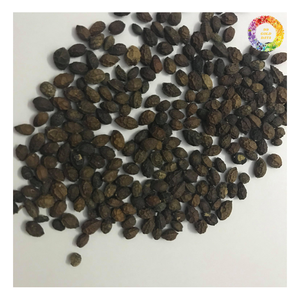 เมล็ดมะละกอดิบสำหรับชาสมุนไพรทำความสะอาดและอบแห้งเมล็ดมะละกอคาริก้าเขตร้อน - Product Image 2