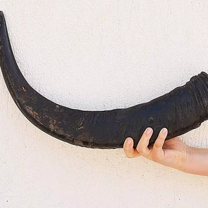 100% corne de buffle naturelle polie corne à boire Viking pour la bière ou l'eau meilleure qualité en gros en Inde corne de taille solitaire - Product Image 1