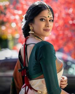 ผ้าแจ็คการ์ด pallu สวยดีไซเนอร์ล่าสุดใช้ได้ทั่วส่าหรี - Product Image 4