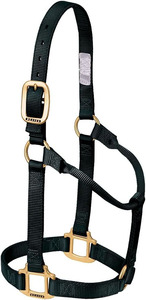 Licou de cheval en nylon non réglable original durable et confortable pour chevaux et poneys - Product Image 3