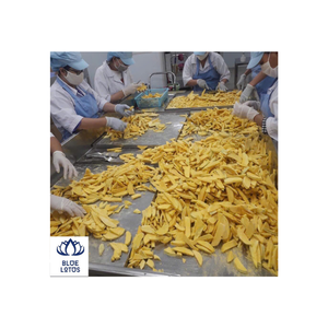 Tranches de mangues fraîches de haute qualité, mangues séchées par congélation, produit fabriqué au Vietnam, lotus bleu - Product Image 2