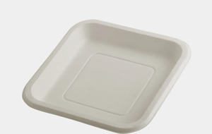 Assiettes jetables en bagasse compostable de qualité supérieure, écologiques, compatibles micro-ondes et congélateur, étanches pour la restauration - Product Image 2