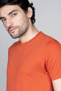 T-shirt uni pour homme 100% coton biologique Tissu tricoté Service OEM disponible - Product Image 3