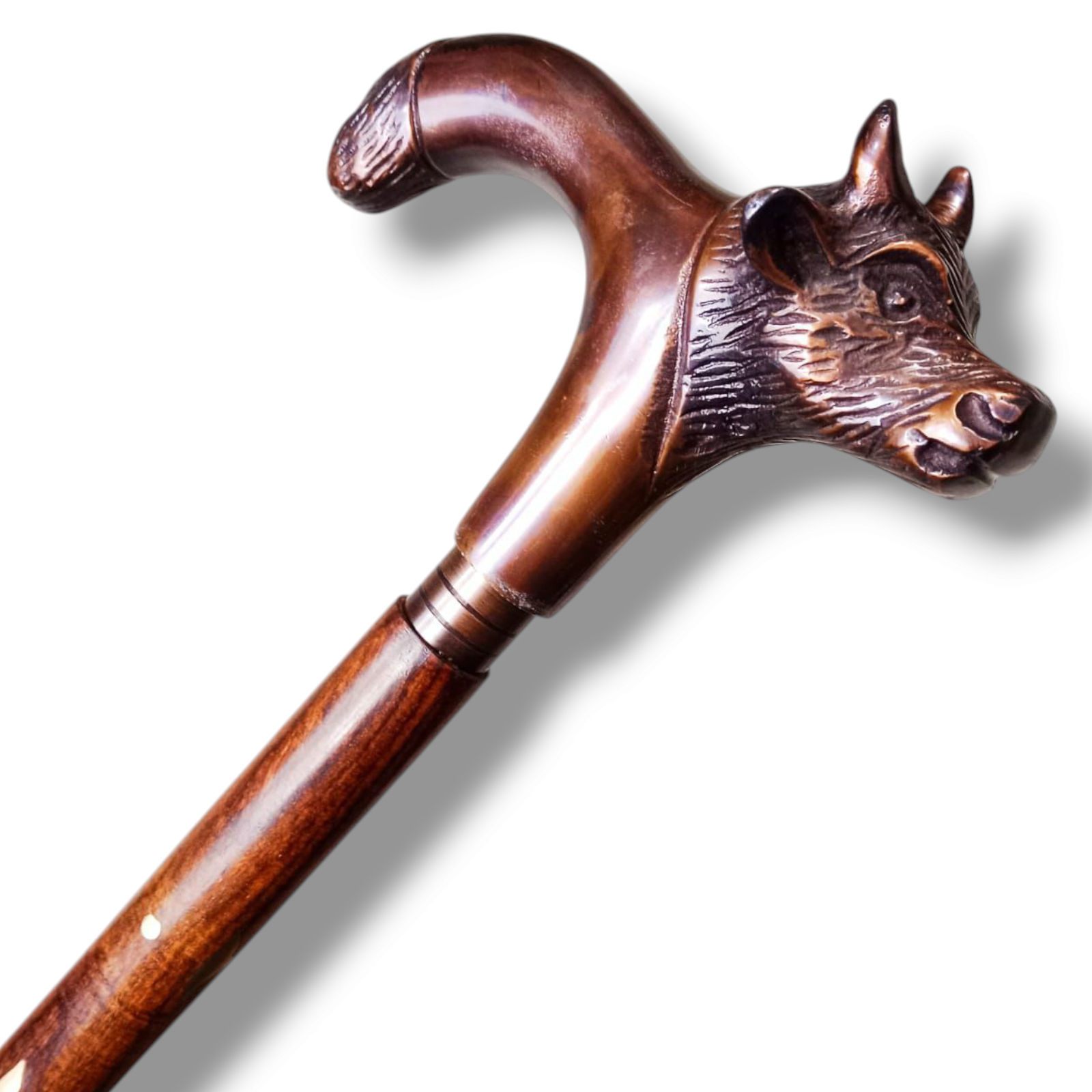 สีน้ำตาล