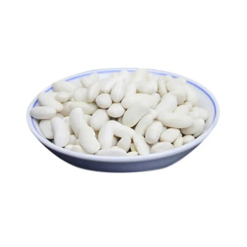 Wholesale Top Quality white kidney Beans In Bulk White Kidney Beans Hot Selling Organic Dry White Kidney Beans