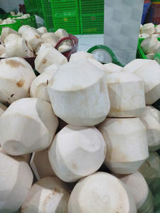 Comercio minorista global y servicio de alimentos Cocos de cítricos frescos vietnamitas - Product Image 4