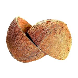 Briquettes de charbon de bois de coque de noix de coco - Product Image 4