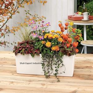 Florero de Metal Personalizado Lavado Blanco para Decoración de Mesa de Hogar y Oficina Floreros de Forma Rectangular - Product Image 2