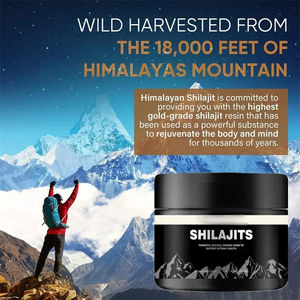 Résine de Shilajit Bio de l'Himalaya, Extrait Herbal Sauvage, Fournisseur en Gros pour l'Exportation FIT - Product Image 3