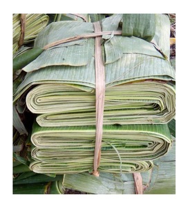 ¡Gran venta! Hojas de plátano frescas de alta calidad de Vietnam con el mejor precio de exportación de productos estándar disponibles - Product Image 1