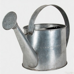 Arrosoir en métal galvanisé de finition antique avec deux poignées pour l'équilibre et la stabilité pendant l'utilisation - Product Image 6